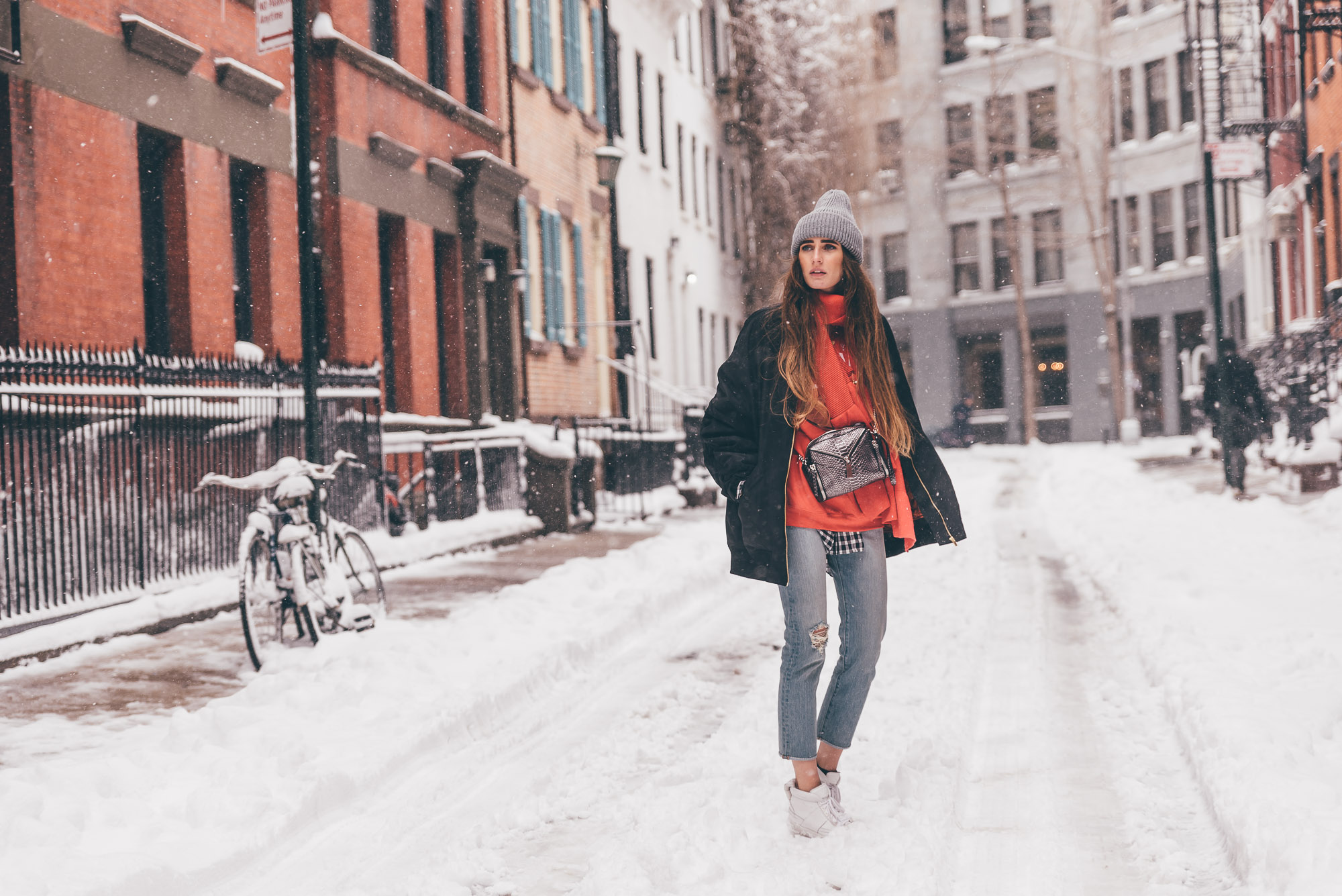 New York Snow Storm | Lisa Fiege