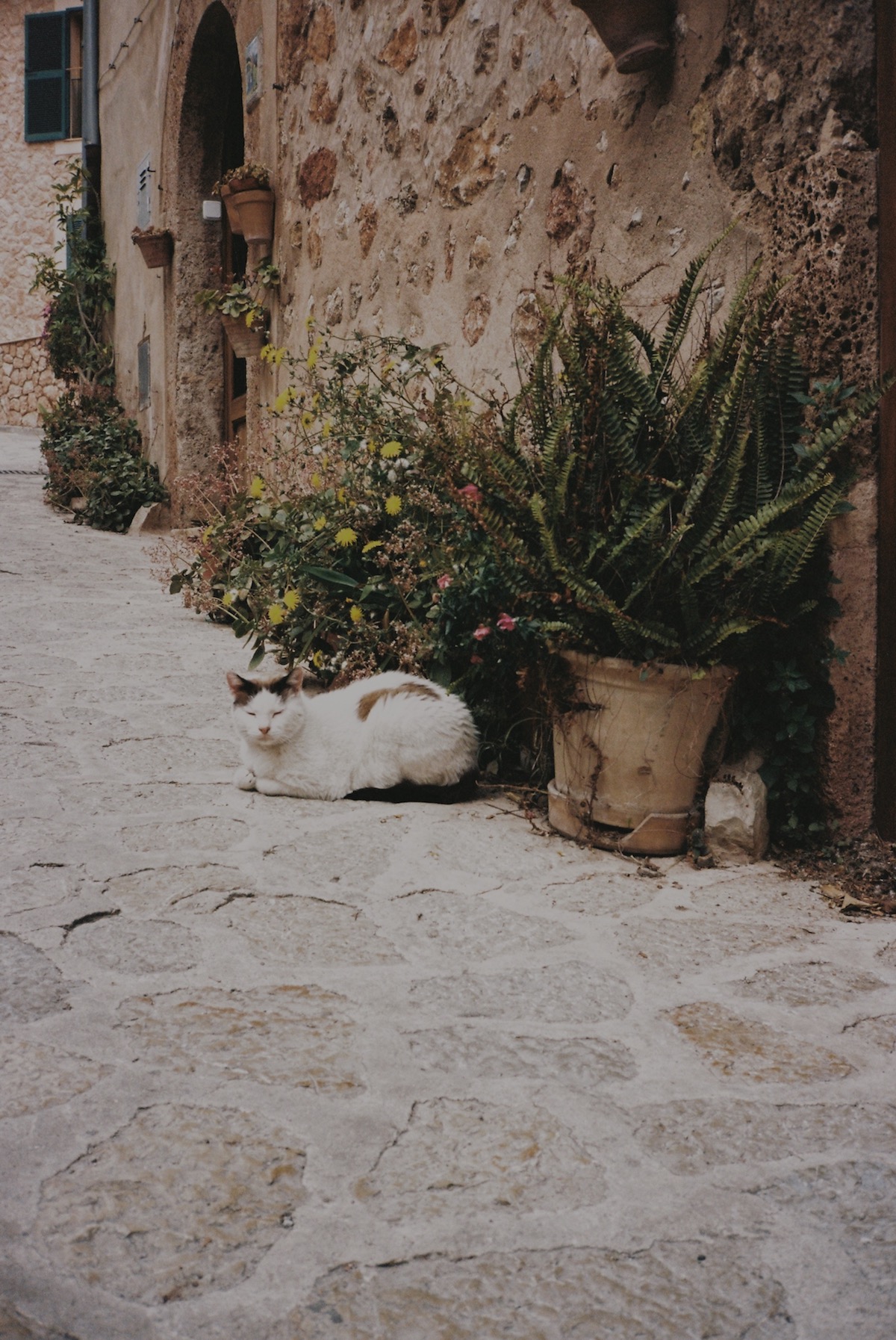 Valldemossa Mallorca | Lisa Fiege | Blog & Creative Studio