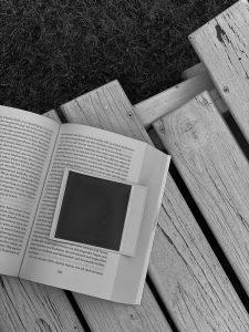 Summer Reading List Part 1 | Lisa Fiege