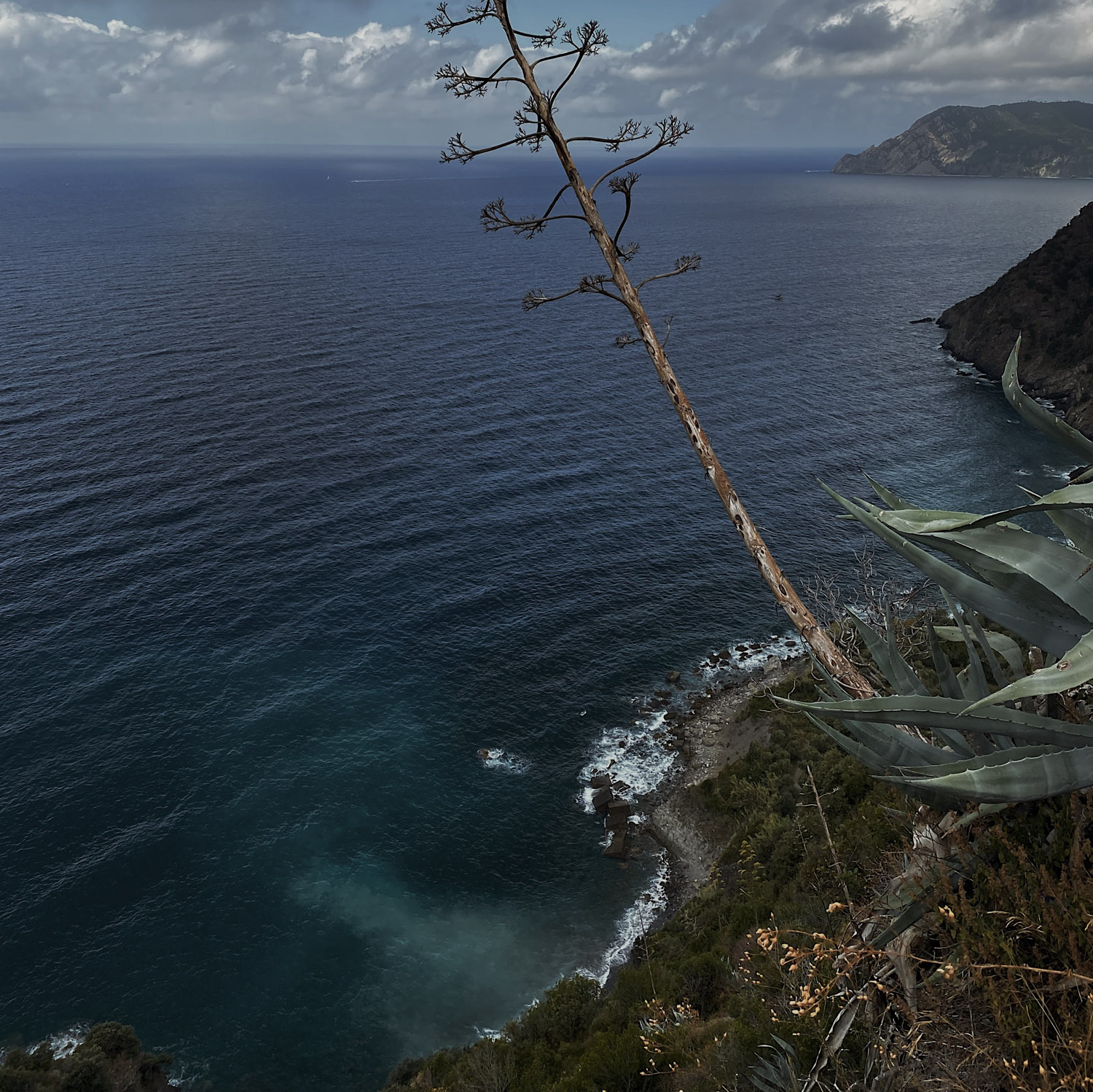 Italy on iPhone 11 Pro Review | Lisa Fiege | Blog & Creative Studio